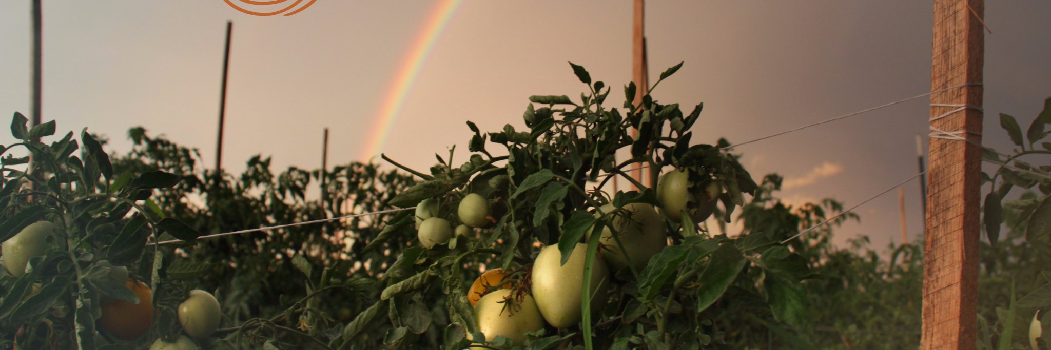 EpiphanyFarms_'s profile banner image