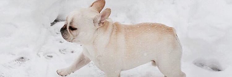7Rhckss's profile banner image