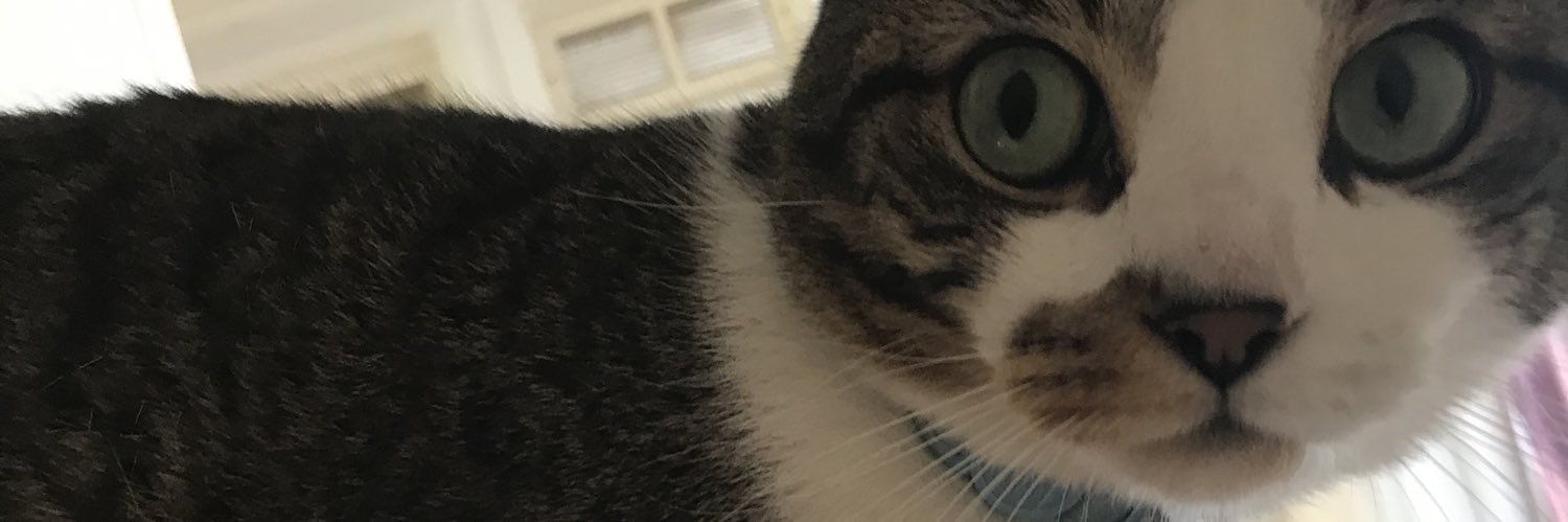 17JadeyBug24's profile banner image