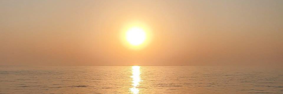 حمد بن دلموج السويدي banner