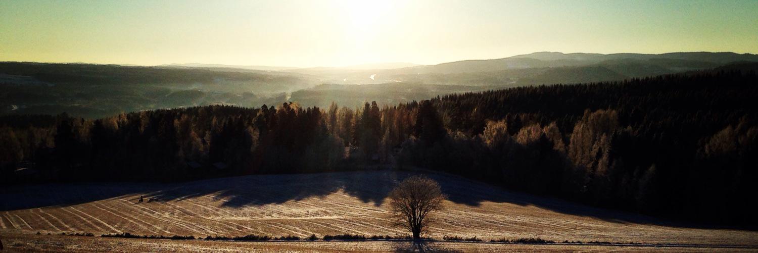 vilde_hansen's profile banner image
