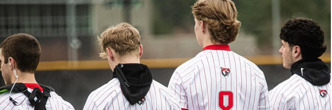 StocksNBaseball's profile banner image