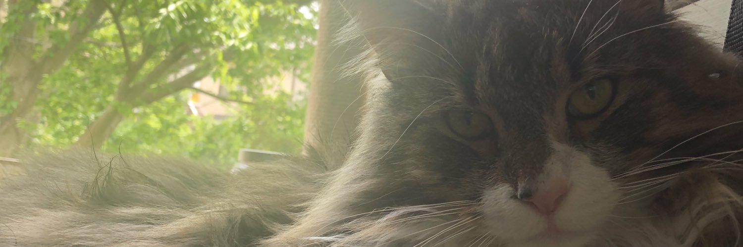 TOMOSism's profile banner image