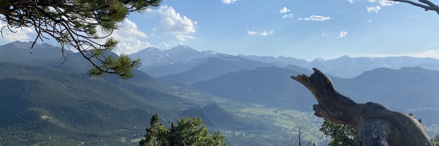 Harrison Newey banner