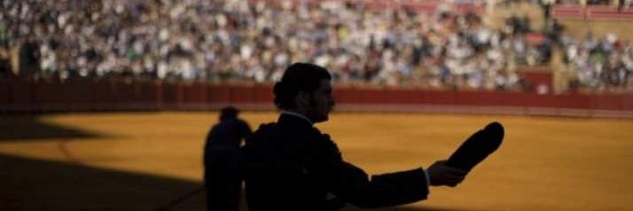 GalvezMonroy's profile banner image
