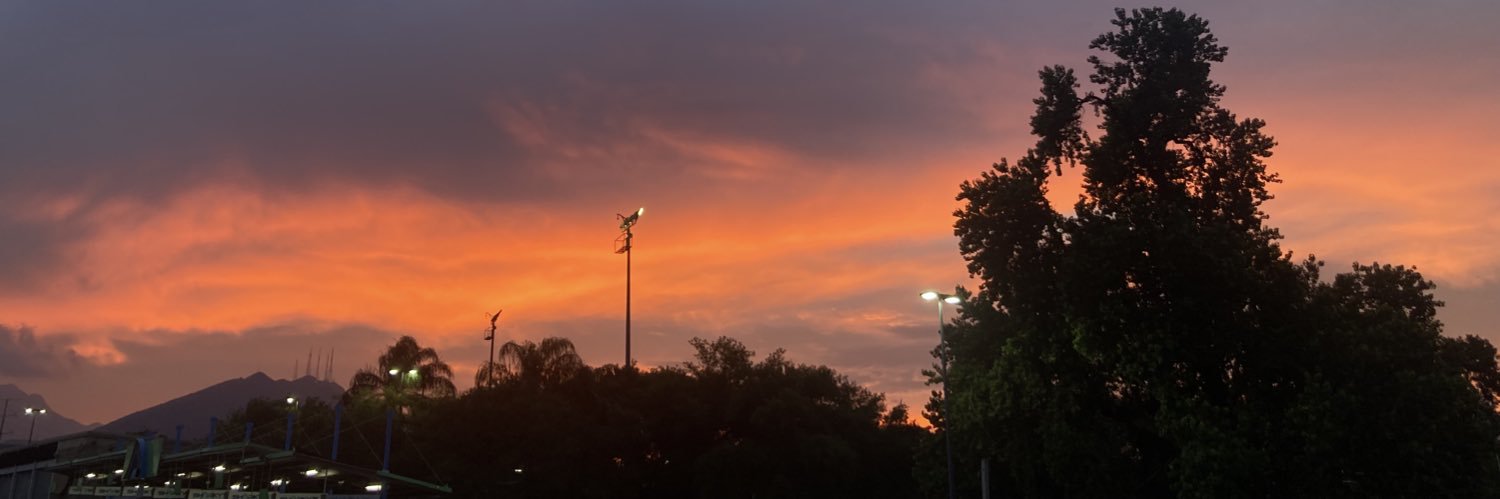 fereguevara's profile banner image