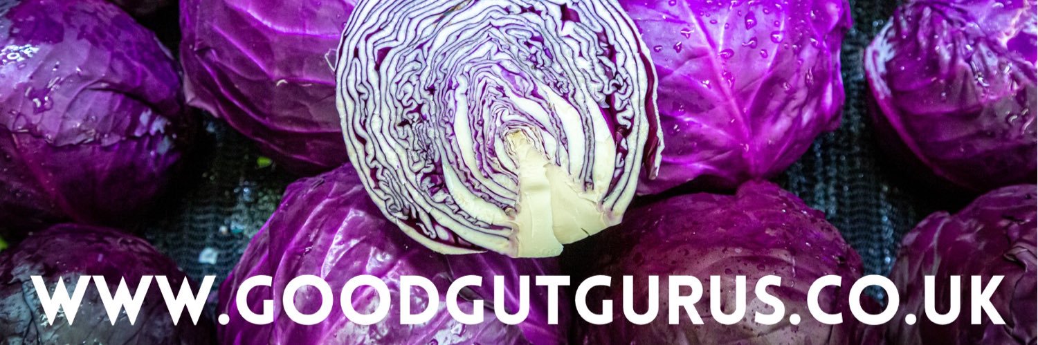 goodgutgurus's profile banner image