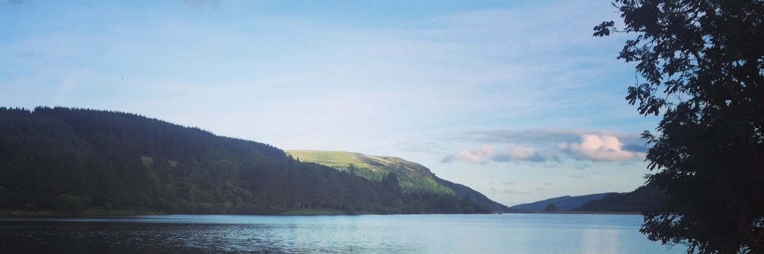 Rhys7Williams's profile banner image