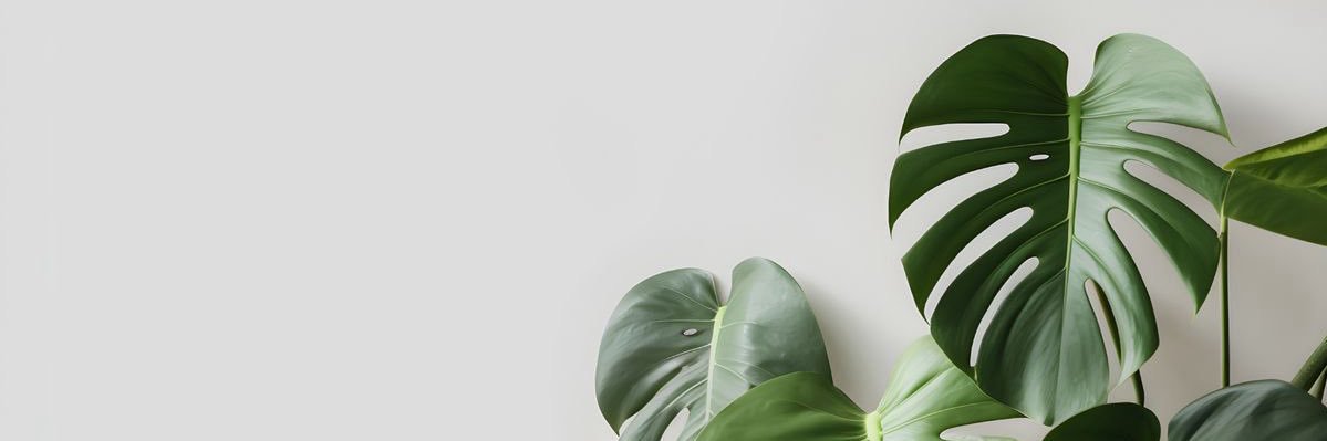 evargasr's profile banner image