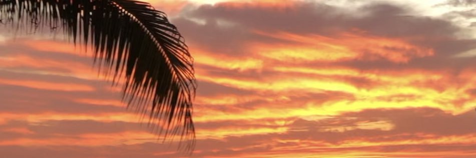 DianaaFabiola's profile banner image