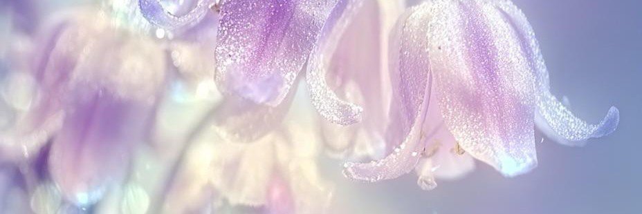 TetsuBlue0525's profile banner image