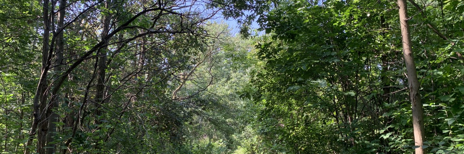 Colin Mang 🇨🇦👍🇺🇦 banner