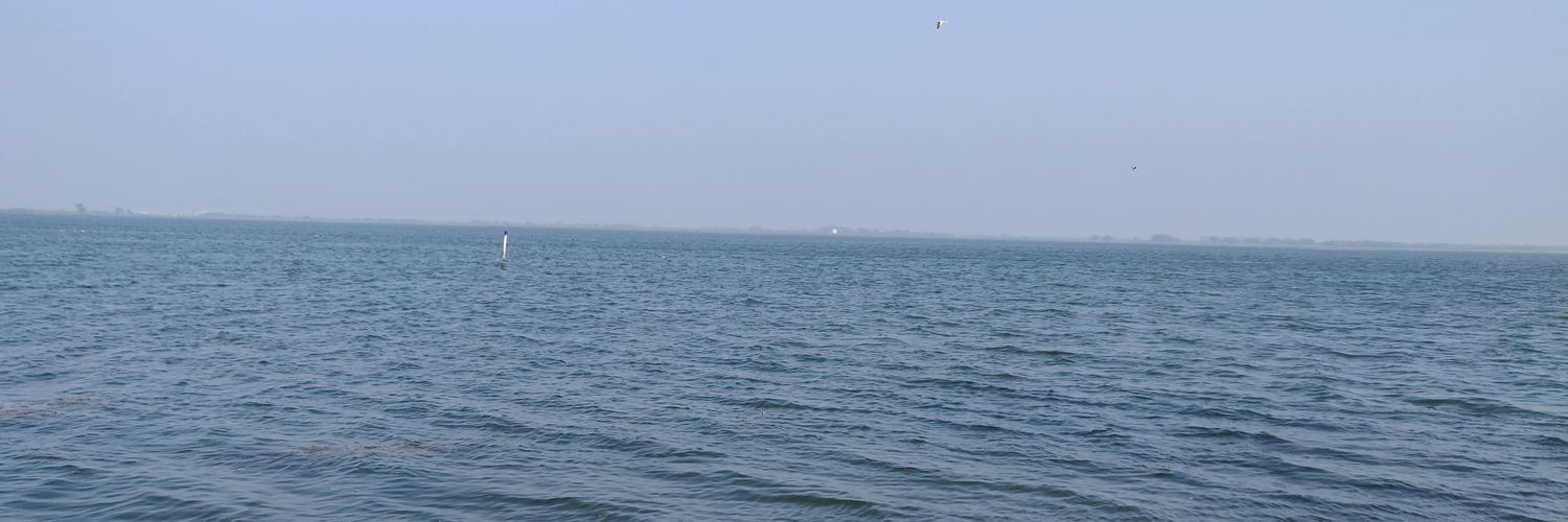Sagar Tahelyani banner