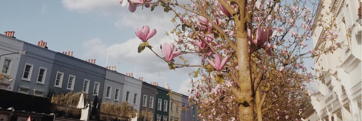 EvaKlute1's profile banner image