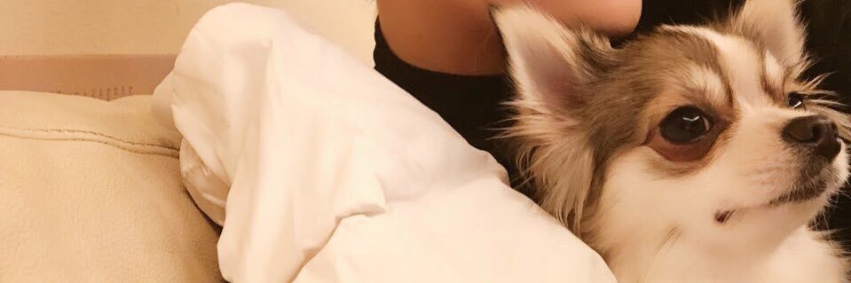 MX_changkyun's profile banner image