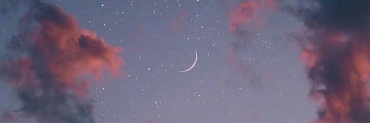 a_R_i_Z's profile banner image