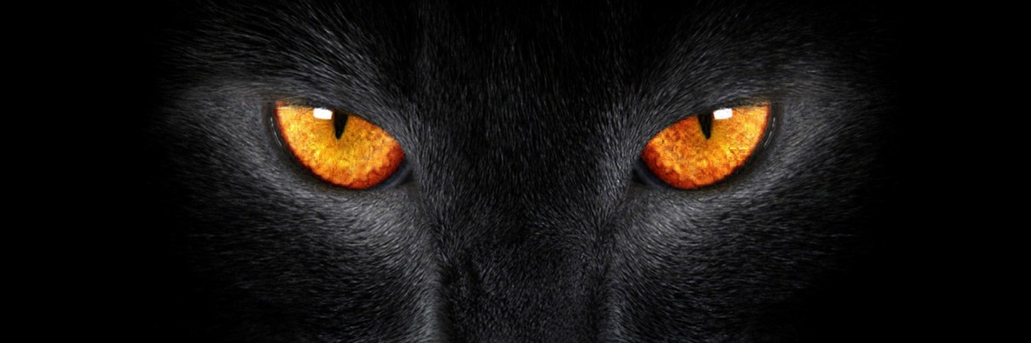 artemisabkk's profile banner image