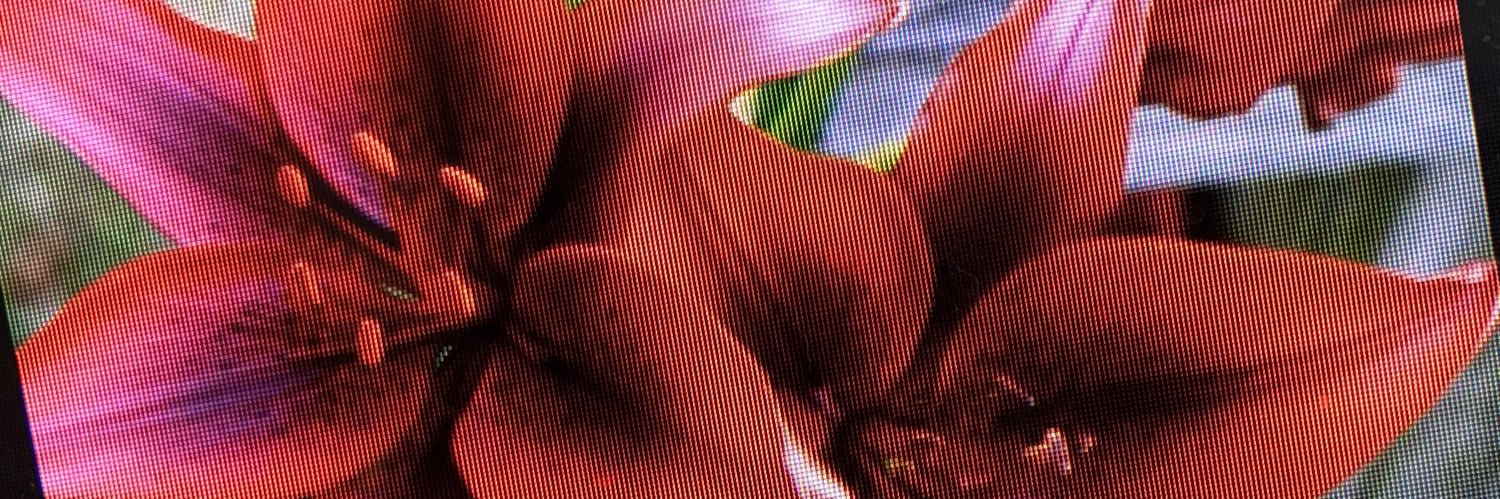 0701988's profile banner image