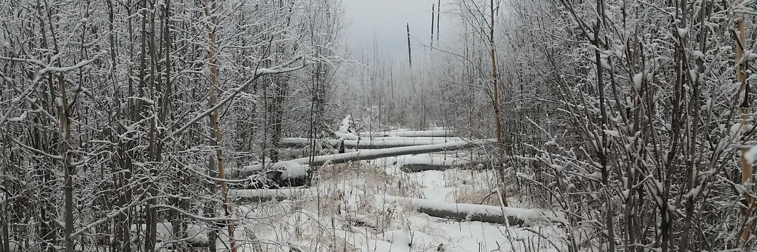 RyanBiggsN's profile banner image
