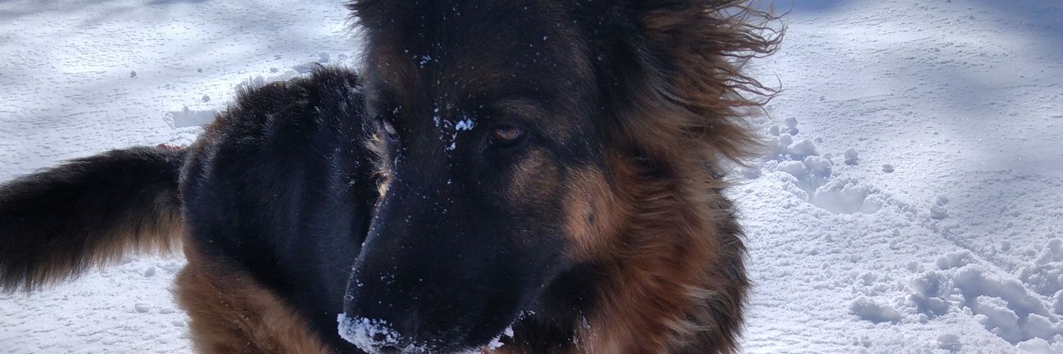 always4x4's profile banner image