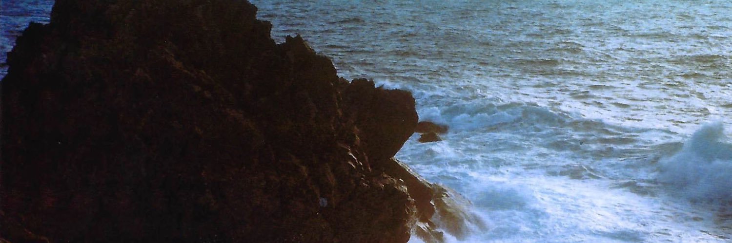 Charlotte Machado banner