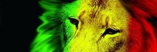 massediop78's profile banner image