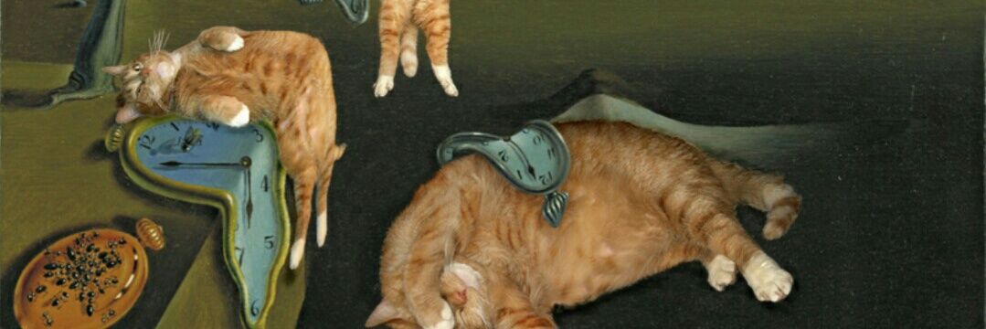 drewmichl's profile banner image
