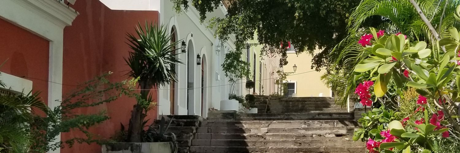 AofRay's profile banner image