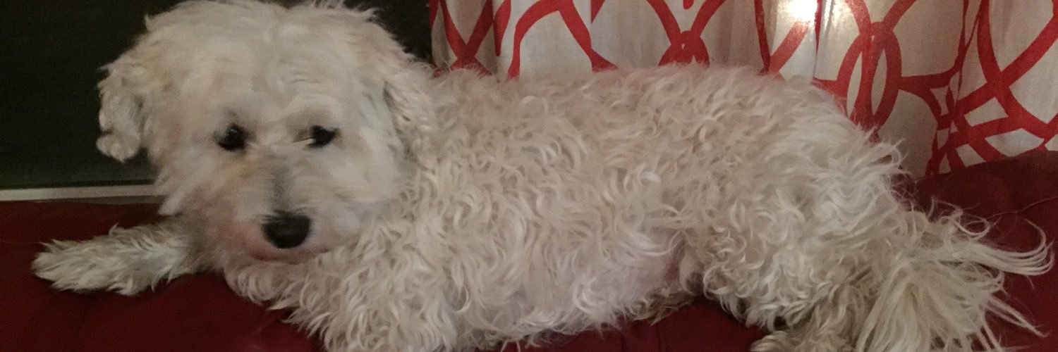 BillyRaythedog's profile banner image