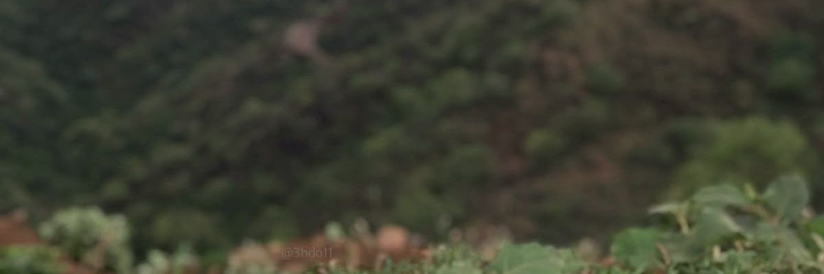 تفائل وأبتسم banner