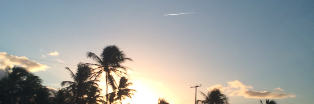 bezerrafelipe1's profile banner image
