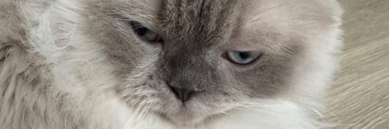 miuzkk's profile banner image