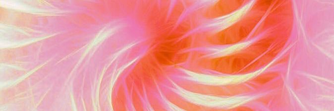 Cande_Grandoli's profile banner image