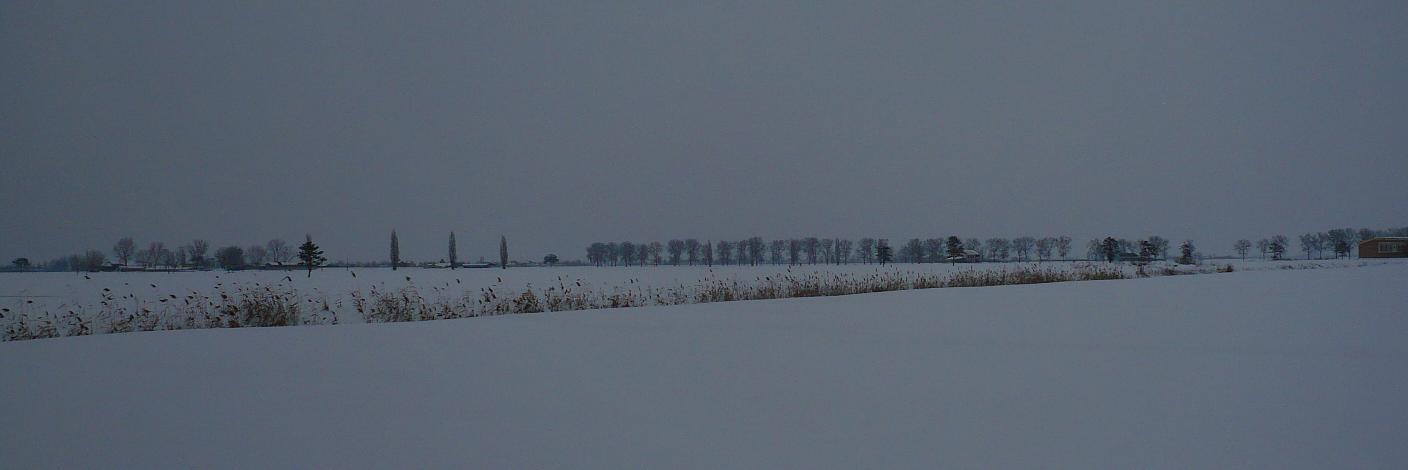 Werter Bondanelli banner