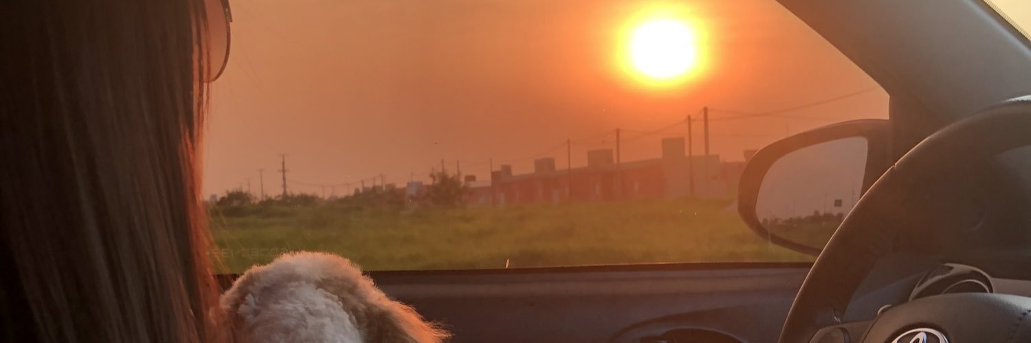 orlandirok's profile banner image