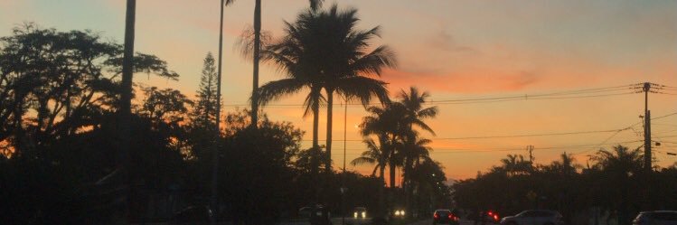 dhynicetto's profile banner image