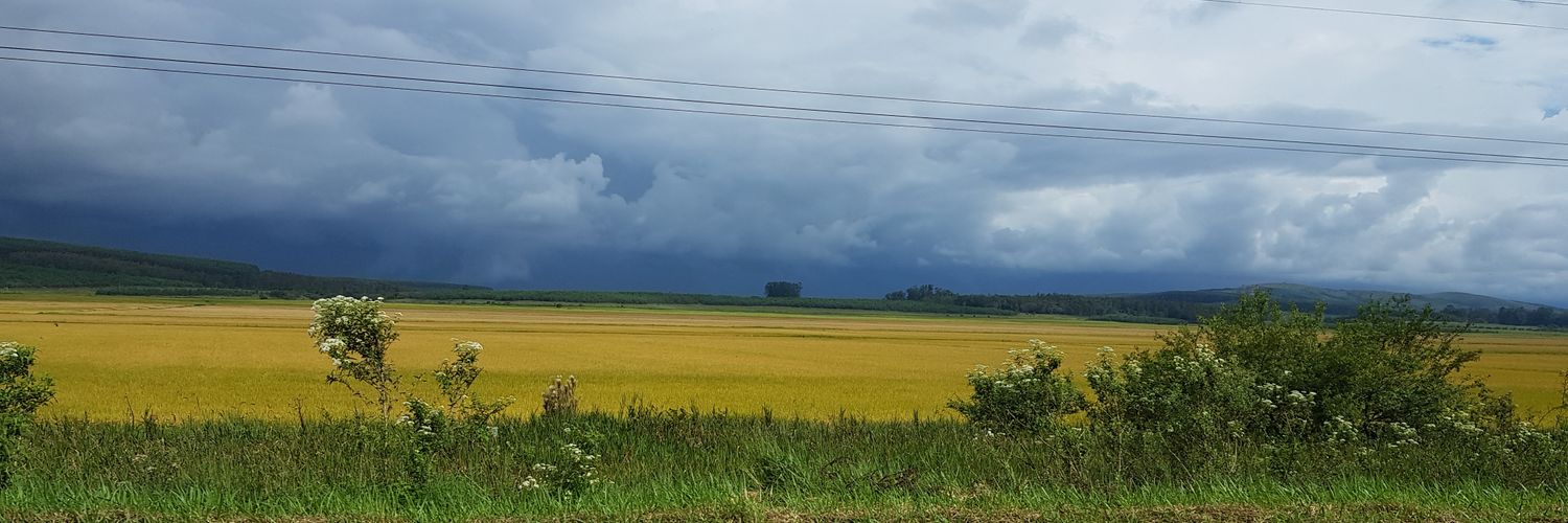 Candemaldoo's profile banner image