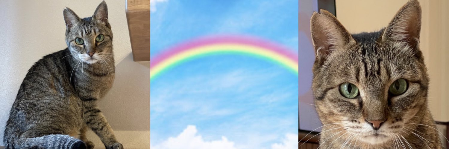 オリセ banner