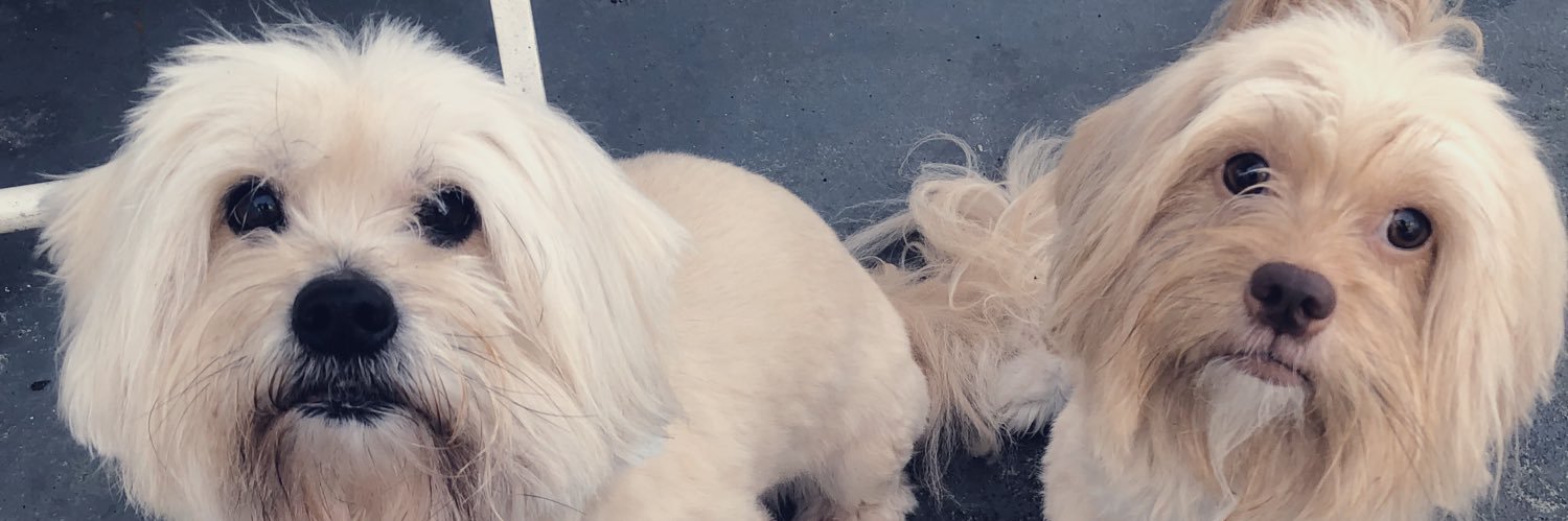 paigeashleysc's profile banner image