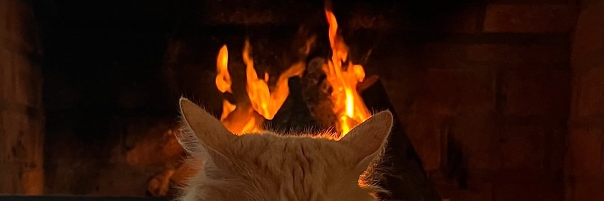 santimonyur's profile banner image