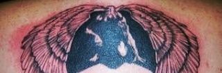 EvilAngXXX666's profile banner image