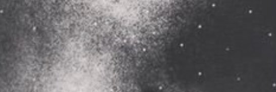 beeedo_00's profile banner image