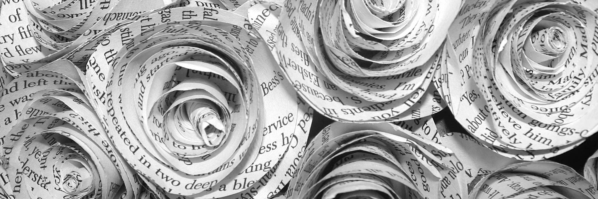 cmcognevich's profile banner image
