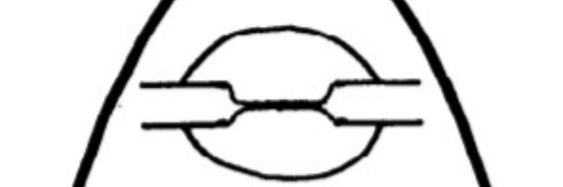 thechadologist's profile banner image