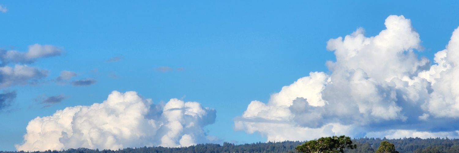 WitteDavid's profile banner image