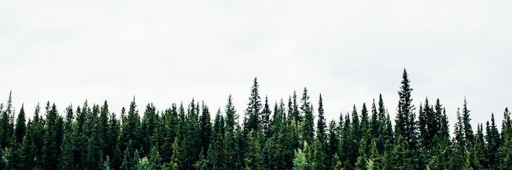 F_AIAM_'s profile banner image
