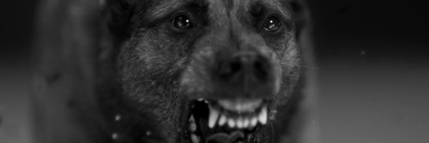GuilleKilmister's profile banner image