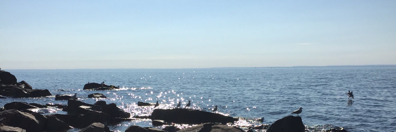 MarschinkeSam's profile banner image