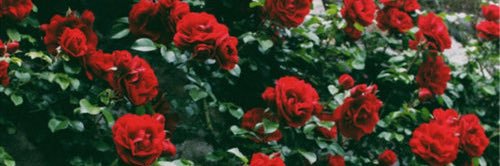 heavenlyfray's profile banner image
