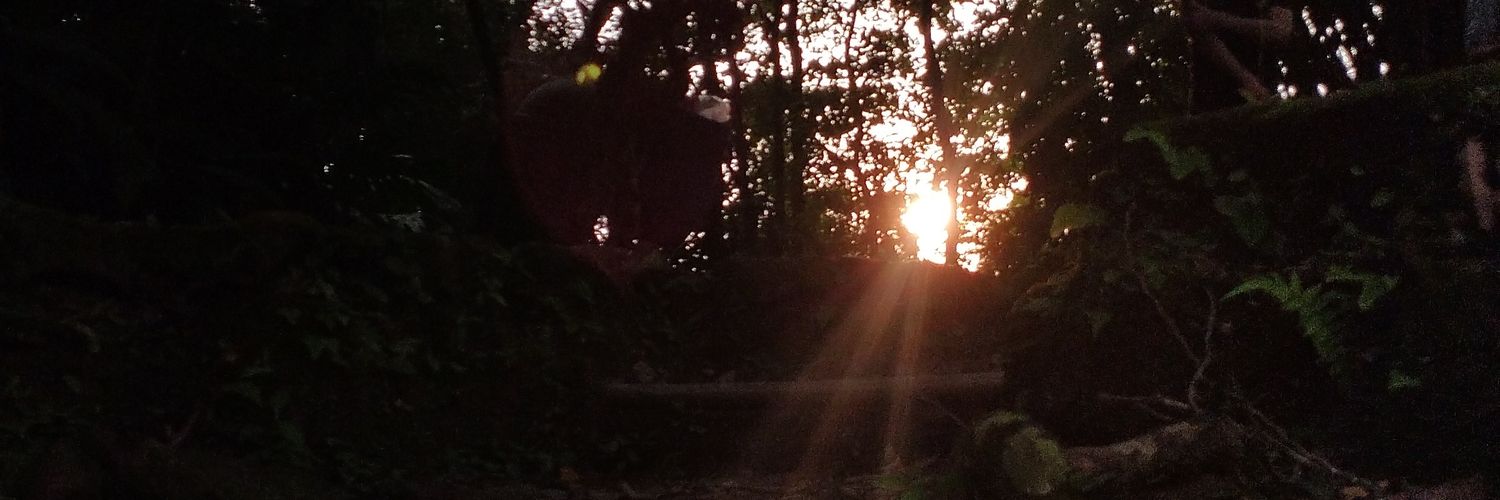 Mond_98's profile banner image